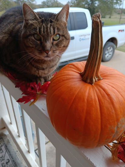 Participant Upload Image