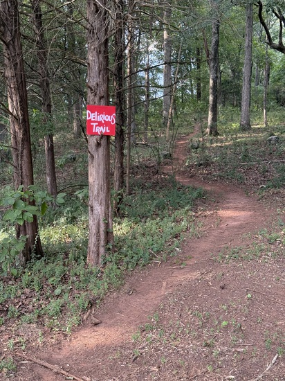 View Trails in new tab