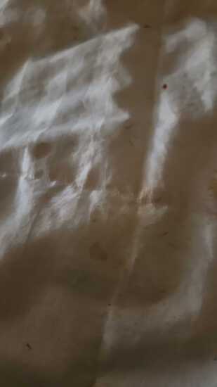 View Carleeh in new tab