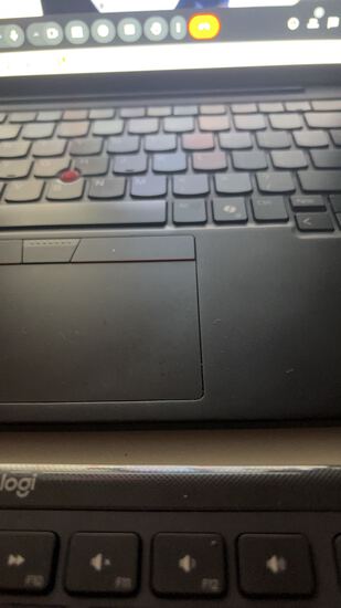 View Lauren in new tab