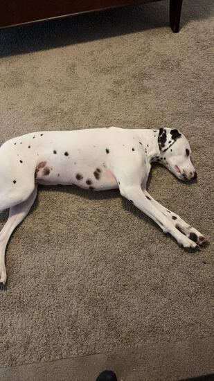 View Megan in new tab