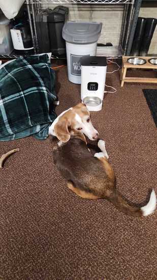 View Jeff Townsend in new tab