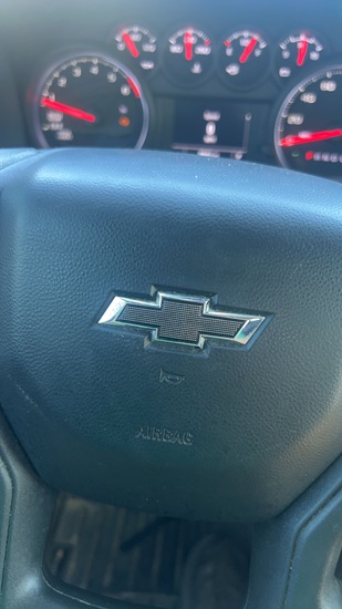 View Dillon B in new tab