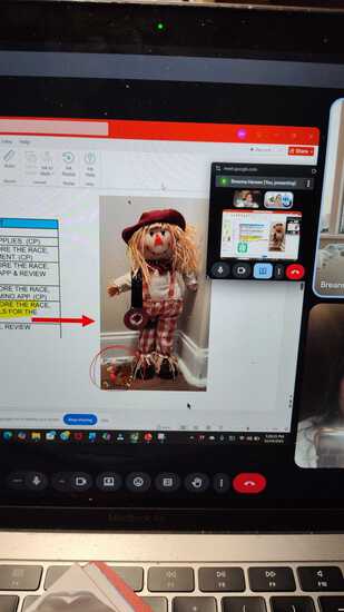 View Alice in new tab