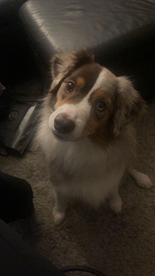 View SharonF in new tab