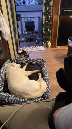 View Kaylee in new tab