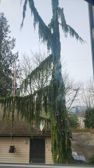 View Carleeh in new tab