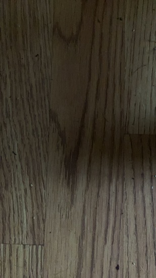 View Kane in new tab