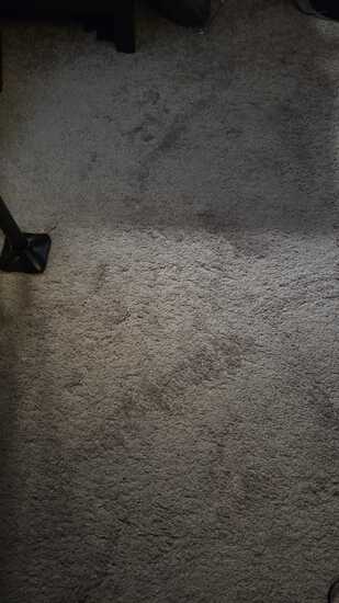 View Lori in new tab