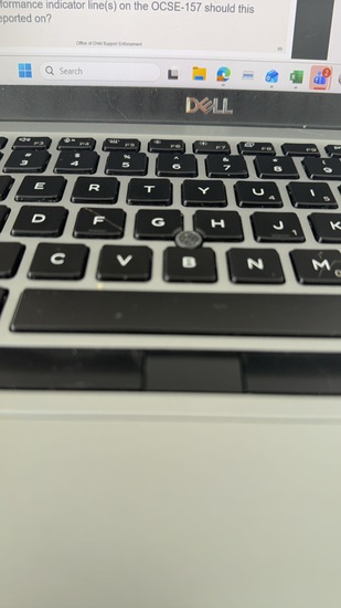 View Paula in new tab