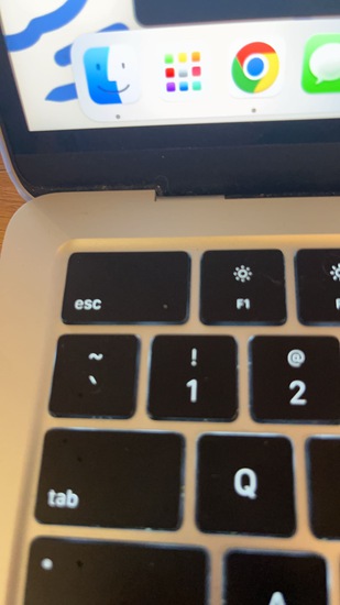 View Ellie in new tab