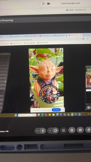 View Rasheda in new tab