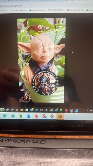 View Bridget in new tab