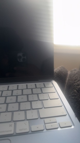 View Jahshawun in new tab