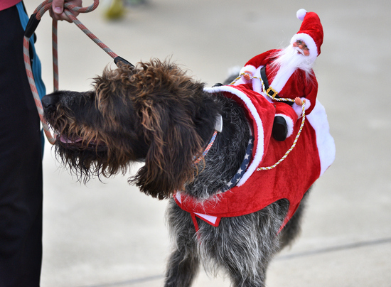 View Lee's McElvaine's Photos in new tab