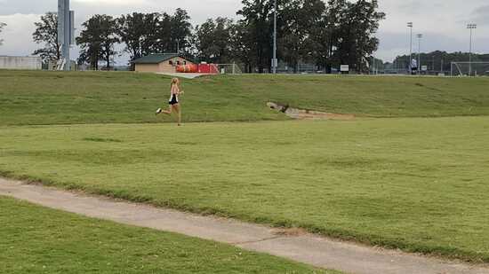 View Random in new tab