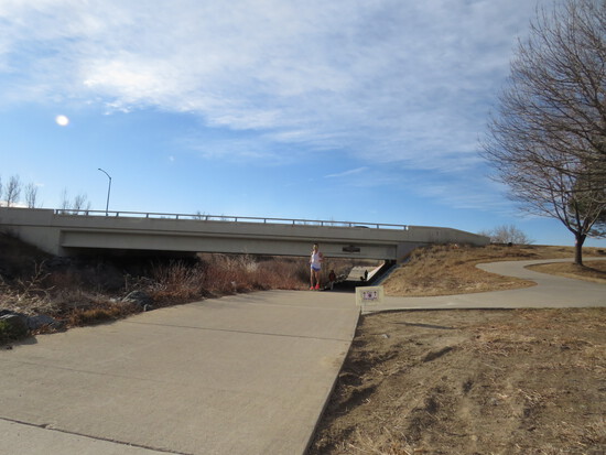 View Course in new tab