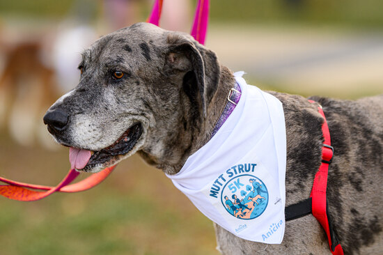 View All Photos in new tab