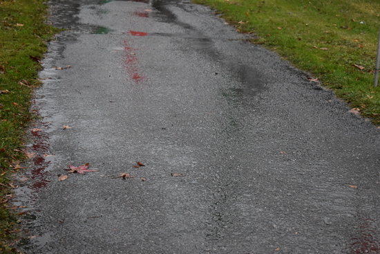 View Finish Line in new tab