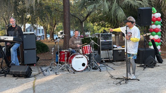 View The Mosquitos 🎶 in new tab