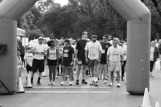 View Start Line in new tab