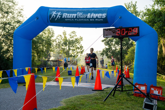 View Finish Line in new tab