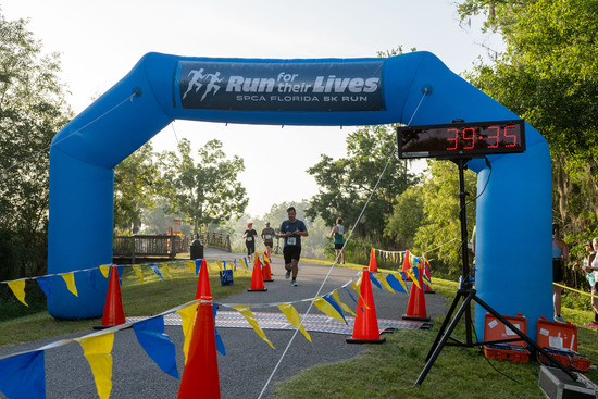 View Finish Line Second Batch in new tab