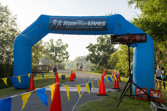 View Finish Line 43:40 to 48:42 in new tab