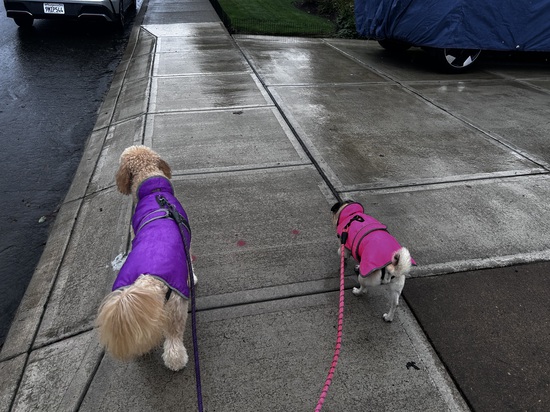 Participant Upload Image