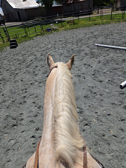 Participant Upload Image