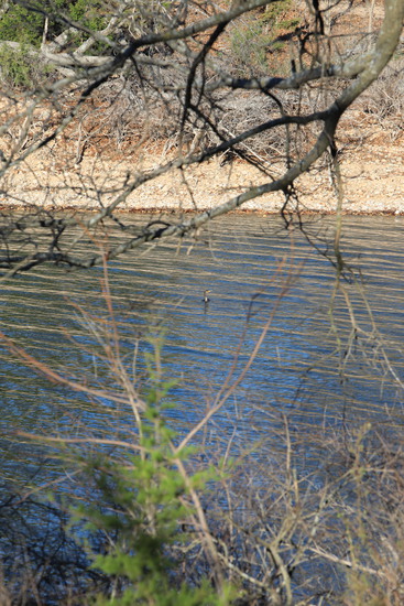 View 5 Mile Route in new tab