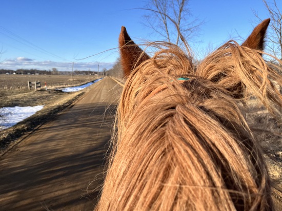 Participant Upload Image