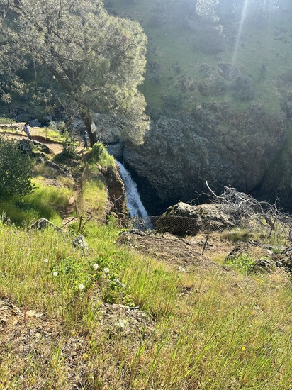 Participant Upload Image