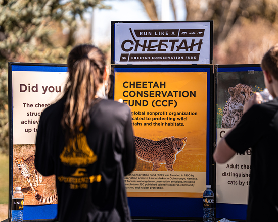 View CCF 5K Run (or Walk) Like a Cheetah 05/02 in new tab