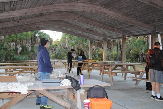 View runners in new tab