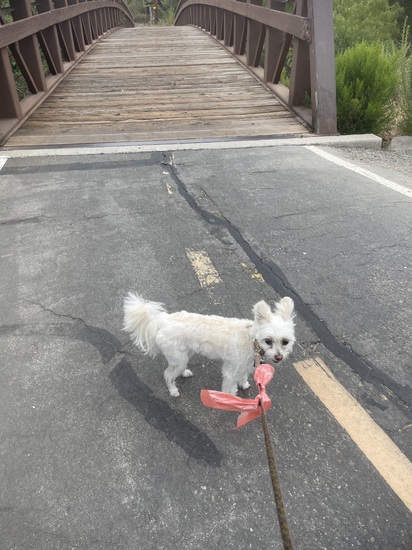 Participant Upload Image