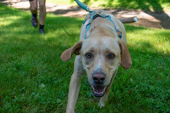 View Sawyer's 10k start photos in new tab