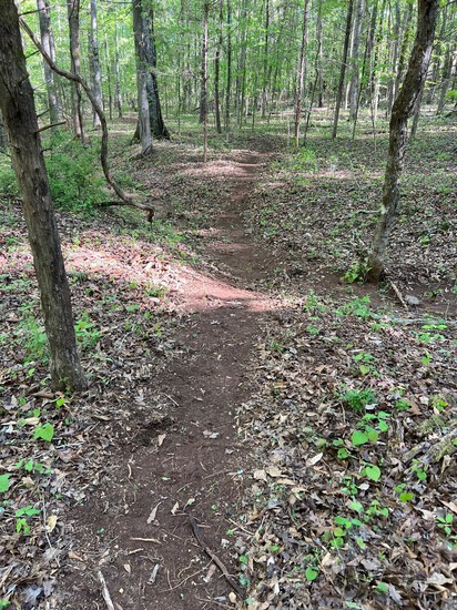View Trails in new tab