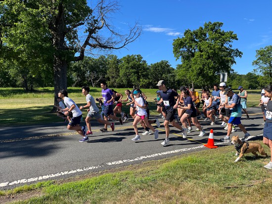 View Start Line in new tab