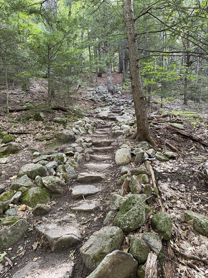View Running for a Cause / Artie’s Adventure Photography in new tab