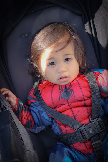 View Superhero Run Photos by Jamie Diaz in new tab