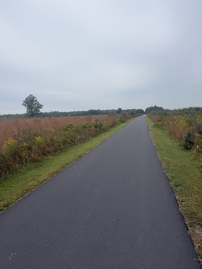 Participant Upload Image