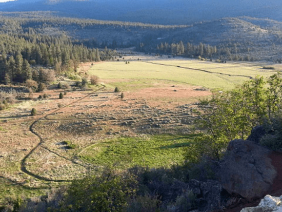 View Paiute Meadows Trail Run Photos in new tab
