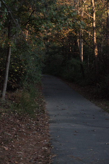 View Start Line in new tab