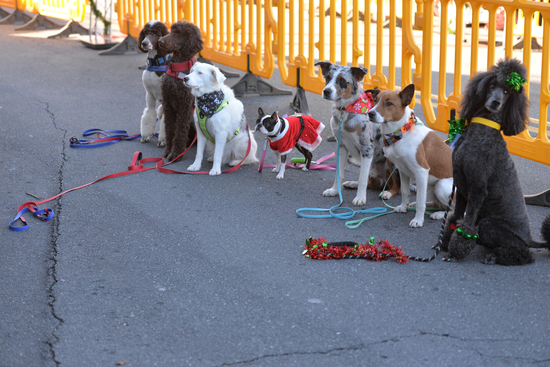 View Making Spirits Bright in new tab