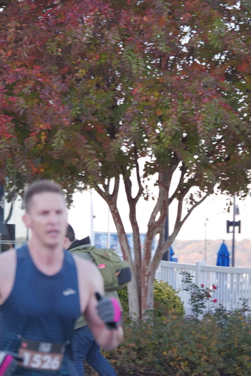 View Finish Line in new tab