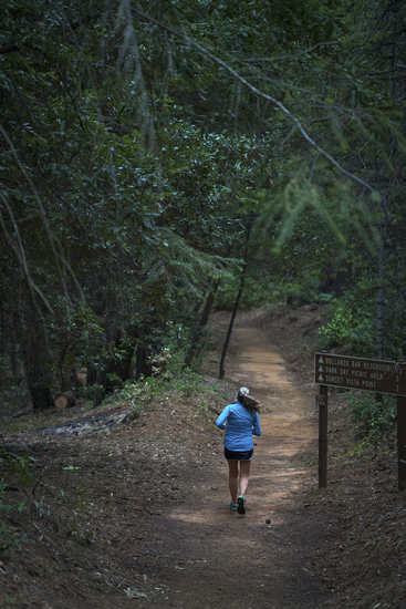 View Trail in new tab