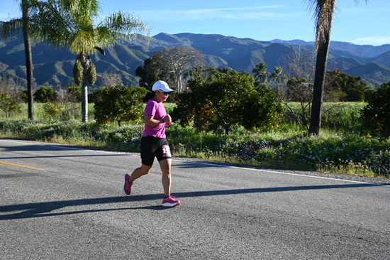 View Course - Brendan in new tab