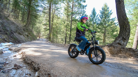 View Mile 9 Trailcam in new tab