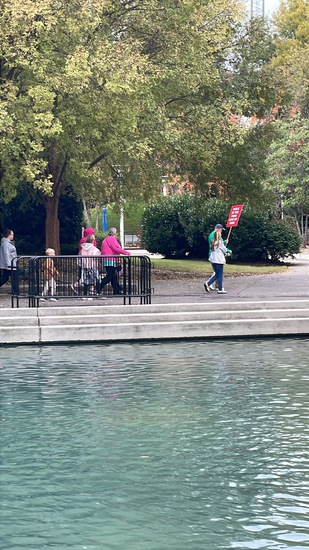 View Sunsphere in new tab